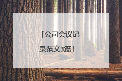 公司会议记录范文3篇