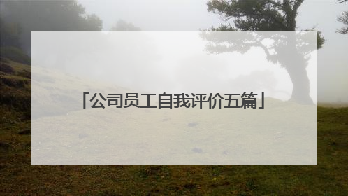 公司员工自我评价五篇