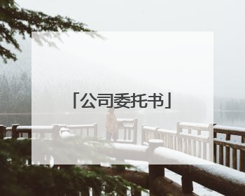 公司委托书