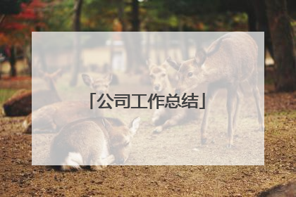 公司工作总结