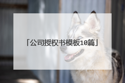 公司授权书模板10篇