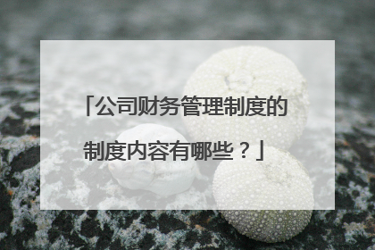 公司财务管理制度的制度内容有哪些?