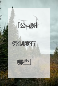 公司财务制度有哪些
