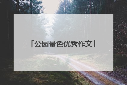 公园景色优秀作文