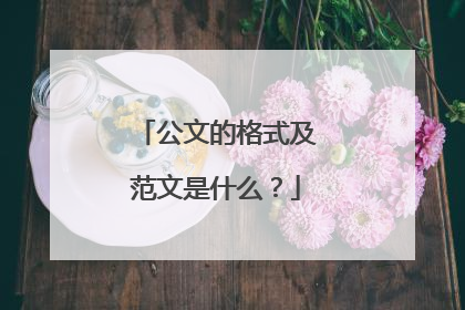 公文的格式及范文是什么?