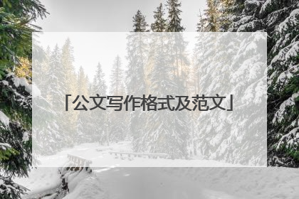 公文写作格式及范文