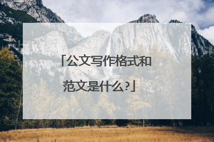 公文写作格式和范文是什么?