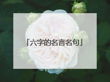 六字的名言名句