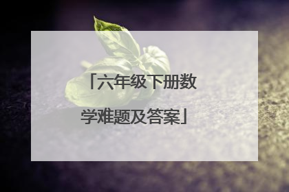 六年级下册数学难题及答案