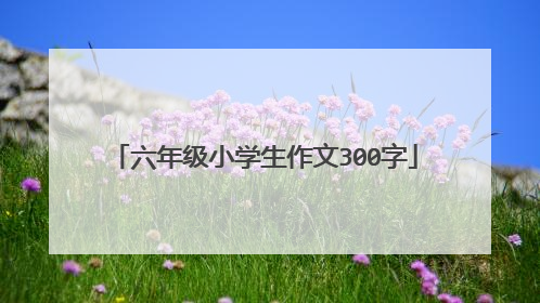 六年级小学生作文300字