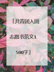 共青团入团志愿书范文1500字