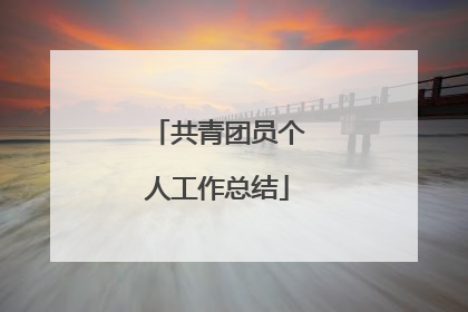 共青团员个人工作总结