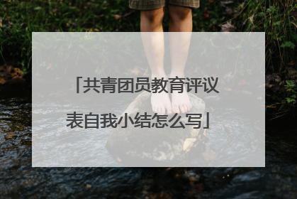 共青团员教育评议表自我小结怎么写