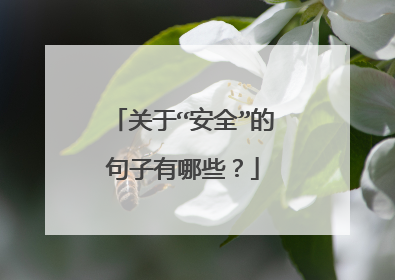 关于“安全”的句子有哪些?