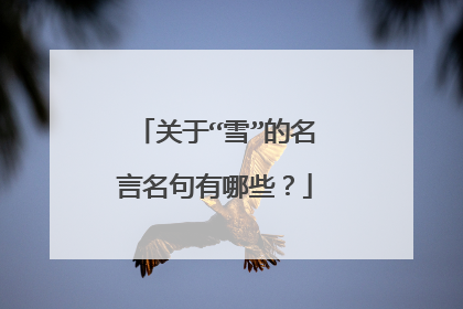 关于“雪”的名言名句有哪些?