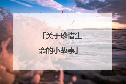 关于珍惜生命的小故事