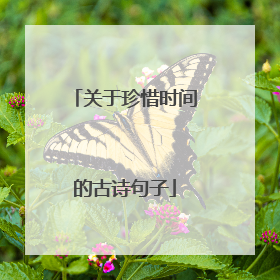 关于珍惜时间的古诗句子
