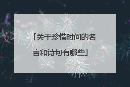 关于珍惜时间的名言和诗句有哪些