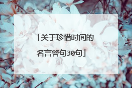 关于珍惜时间的名言警句30句