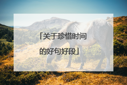 关于珍惜时间的好句好段