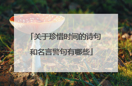 关于珍惜时间的诗句和名言警句有哪些