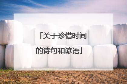 关于珍惜时间的诗句和谚语