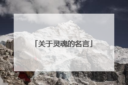 关于灵魂的名言