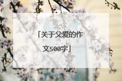 关于父爱的作文500字