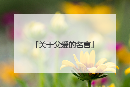 关于父爱的名言