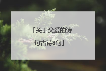 关于父爱的诗句古诗8句