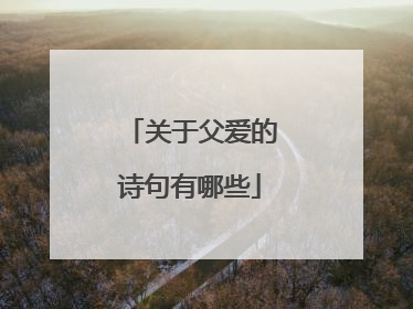 关于父爱的诗句有哪些