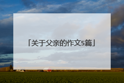 关于父亲的作文5篇