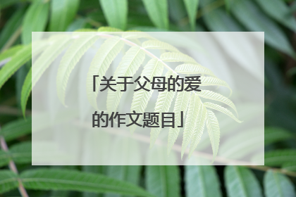关于父母的爱的作文题目