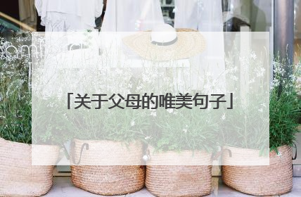 关于父母的唯美句子