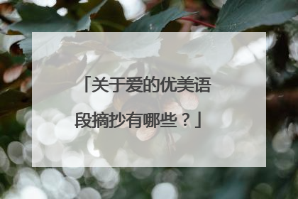 关于爱的优美语段摘抄有哪些？