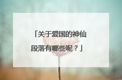 关于爱国的神仙段落有哪些呢?