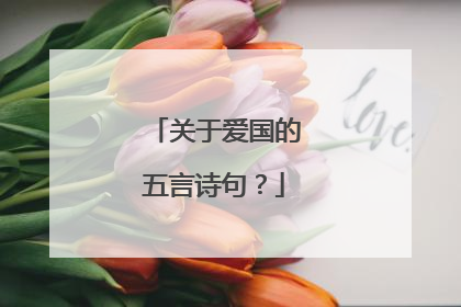 关于爱国的五言诗句?