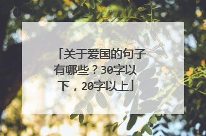 关于爱国的句子有哪些?30字以下,20字以上