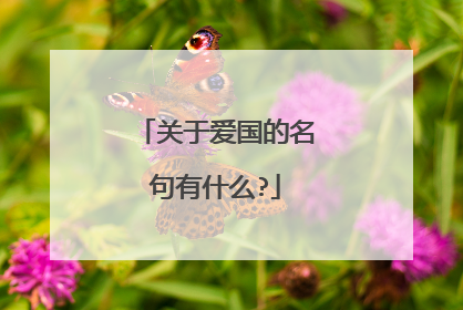 关于爱国的名句有什么?