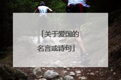 关于爱国的名言或诗句