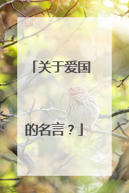 关于爱国的名言？