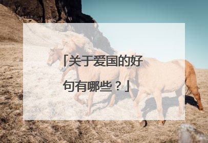 关于爱国的好句有哪些？