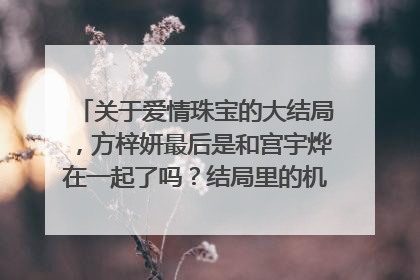 关于爱情珠宝的大结局，方梓妍最后是和宫宇烨在一起了吗？结局里的机场那一幕是怎么一回事？是夏洛伊离开