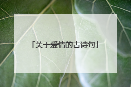 关于爱情的古诗句