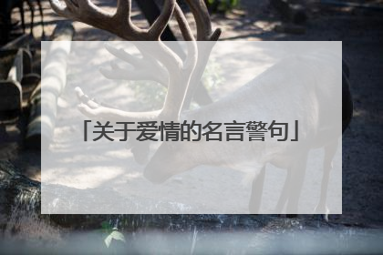 关于爱情的名言警句