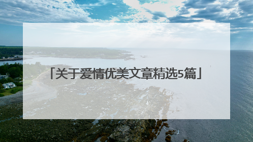 关于爱情优美文章精选5篇