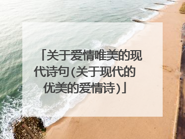 关于爱情唯美的现代诗句(关于现代的优美的爱情诗)