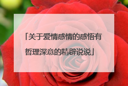 关于爱情感情的感悟有哲理深意的精辟说说