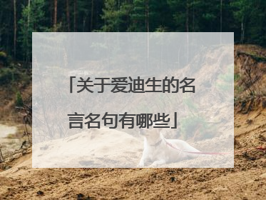 关于爱迪生的名言名句有哪些