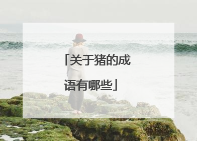 关于猪的成语有哪些